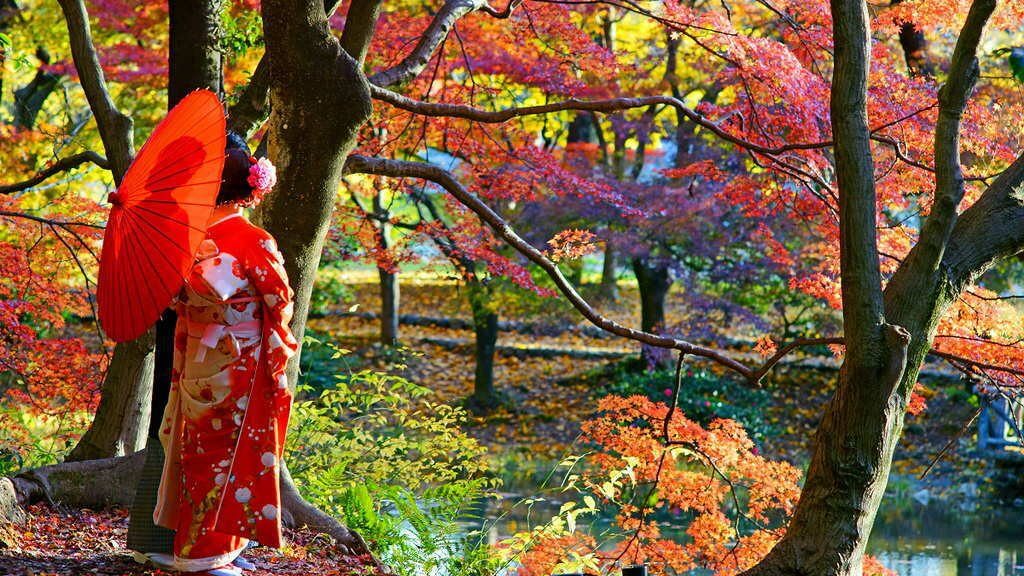 Du Lịch Nhật Bản Mùa Lá Đỏ Khoảng thời Gian Lý Tưởng Trong năm