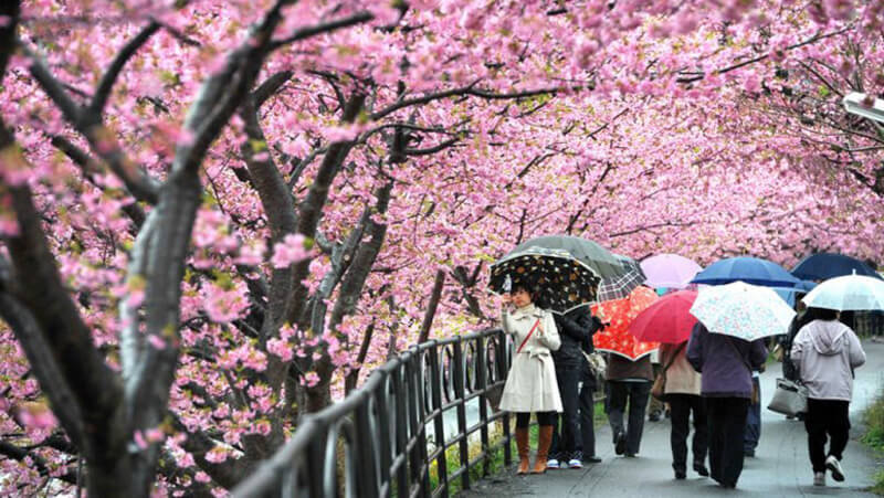 Đi du lịch Nhật Bản nên mặc gì cho phù hợp với thời gian, hoàn cảnh
