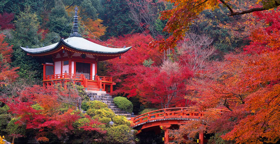 Nét đẹp  thanh tịnh của đền Daigo-ji Nhật Bản.