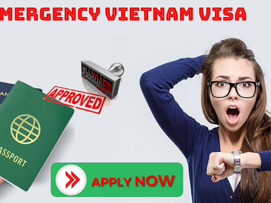 Exploring the Pathways to an Emergency Visa to Vietnam