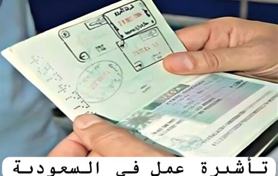 متطلبات الحصول على تأشيرة فيتنام للمواطنين البحرينيين