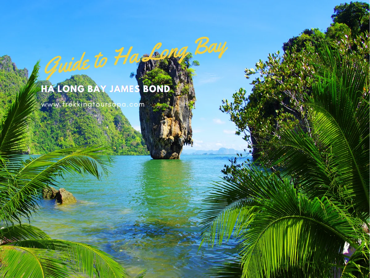 Discovering the Allure of Vietnam - Why It