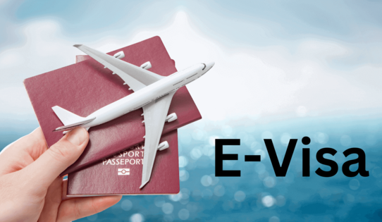 Visa de Vietnam 24/7 en línea soporte a medianoche